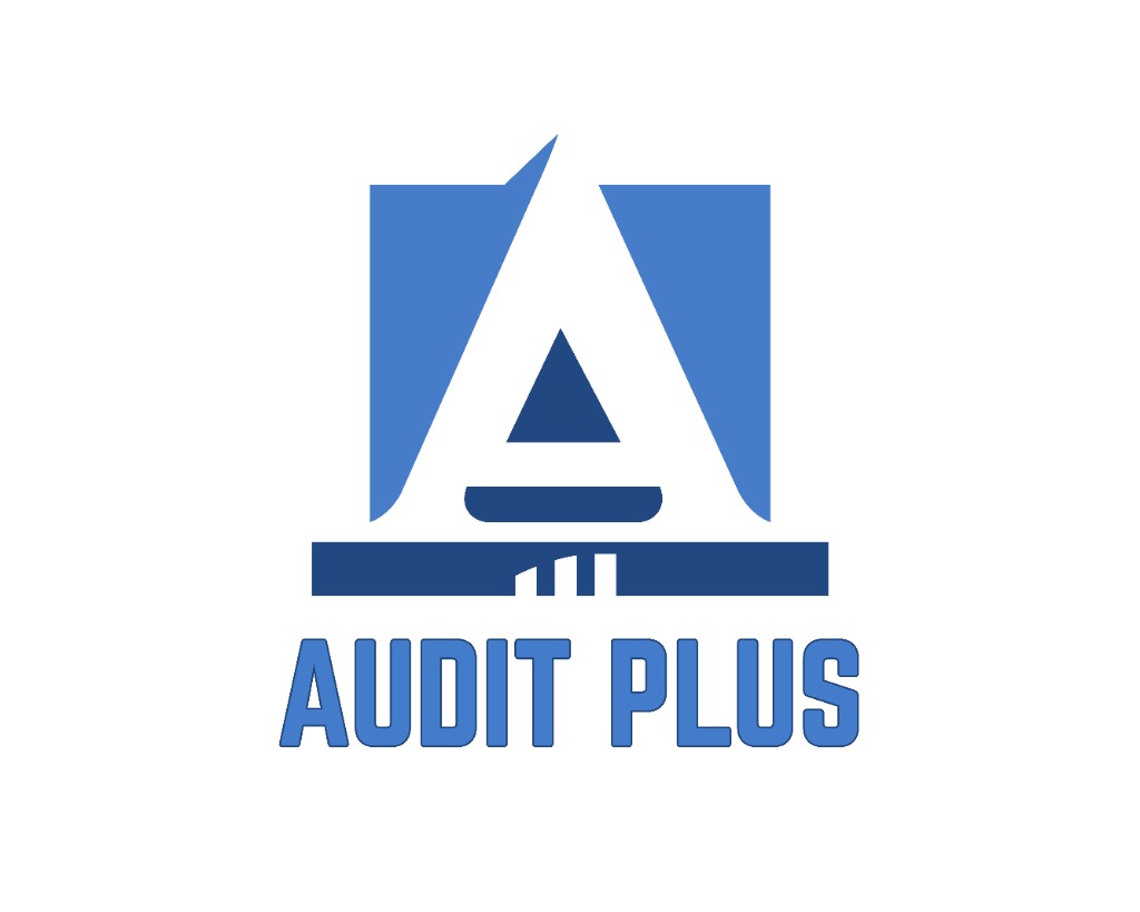 Audit Plus Logo